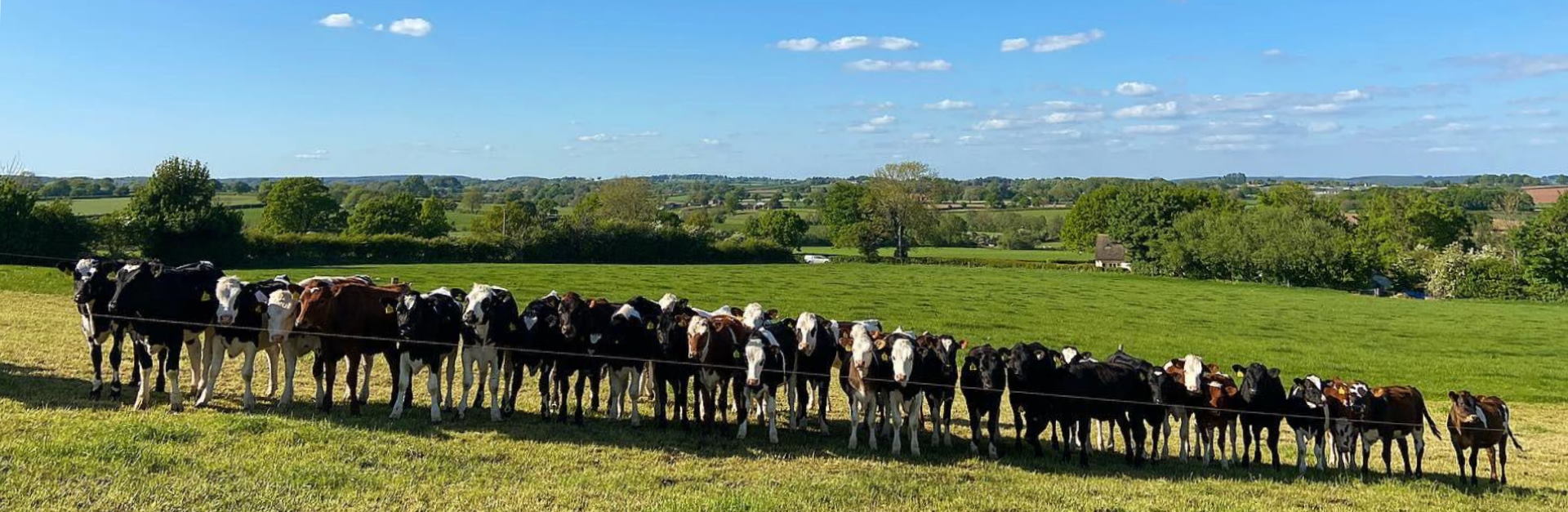 Farmers header