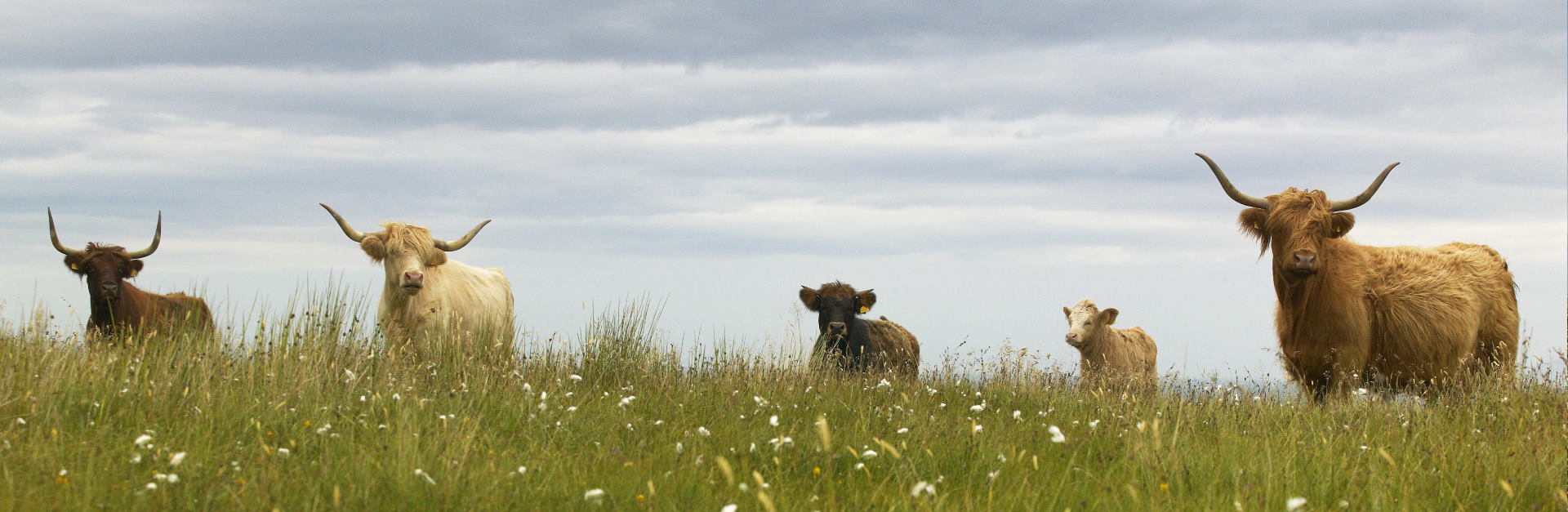 Farmers header